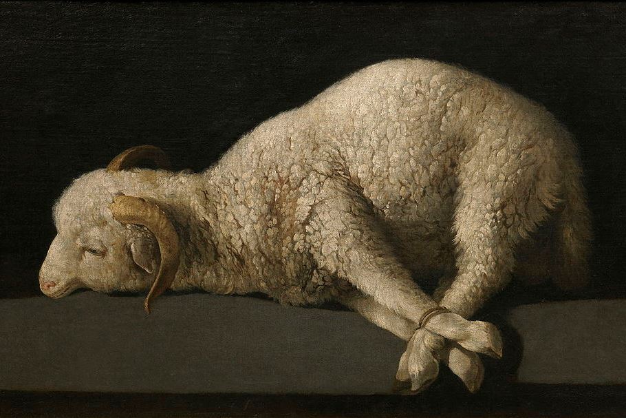 Agnus Dei (the lamb of God), Francisco de Zurbarán, 1640
