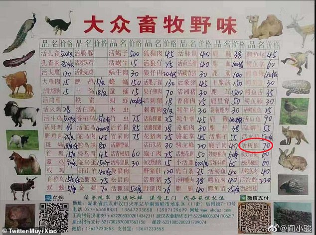 A list of prices shows koala (circled above), snakes, and other exotic animals