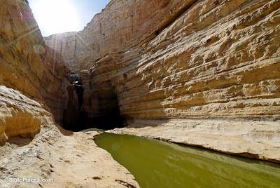 Ein Avdat & Nahal Zin Canyon
